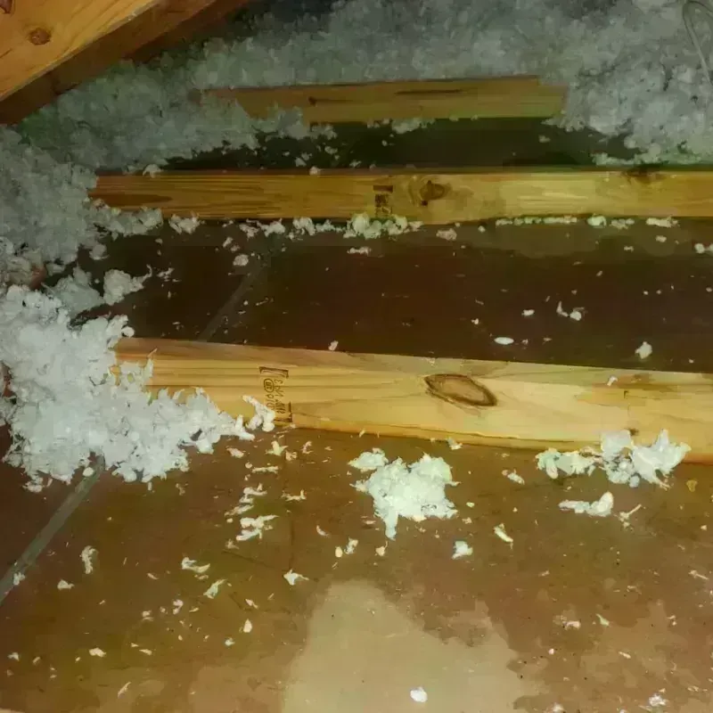 Attic Water Damage in Artesia, CA