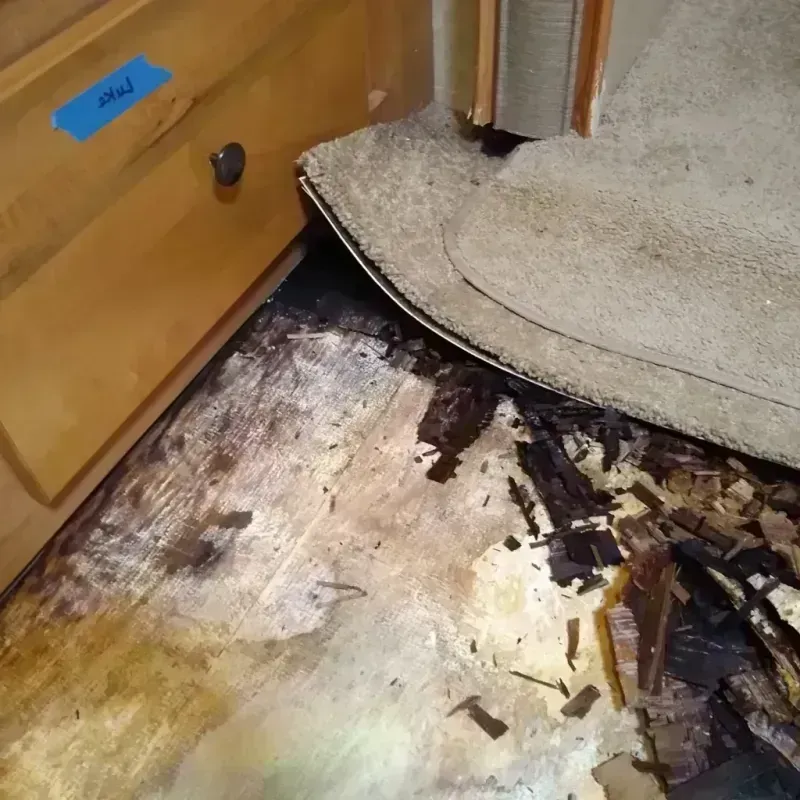 Wood Floor Water Damage in Artesia, CA